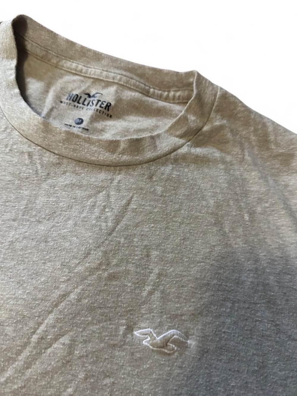 Hollister Neutral Crewneck Tee in Light Beige